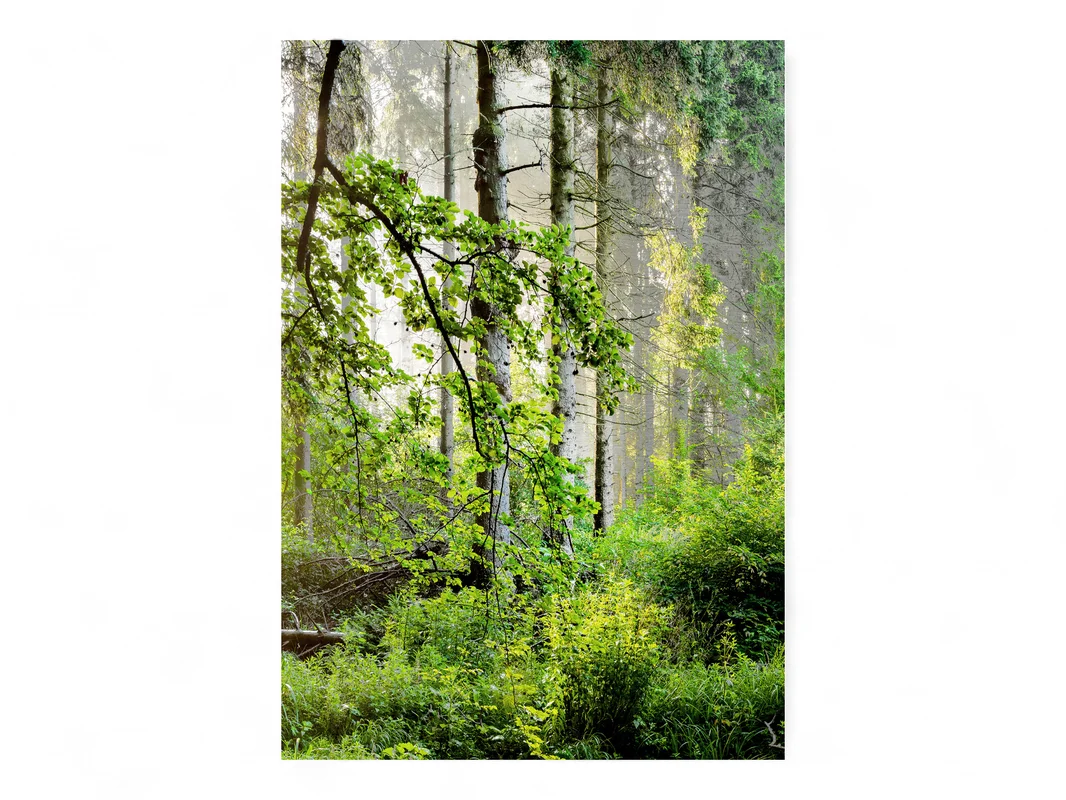 biller-262428