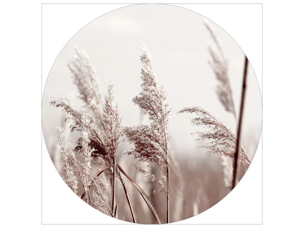 biller-262737