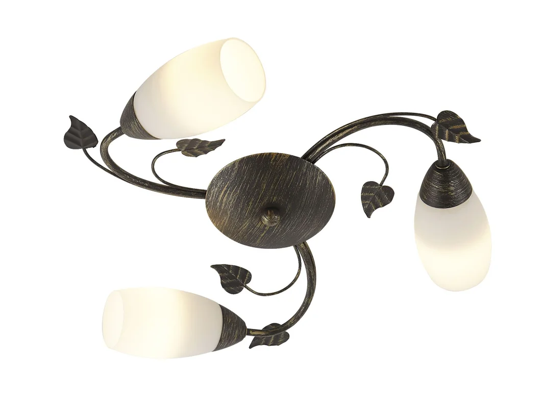 biller-303930