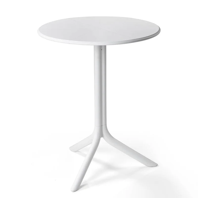 dajar-103934