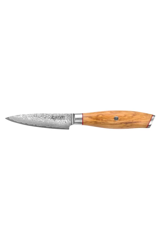 knifeleader-187271