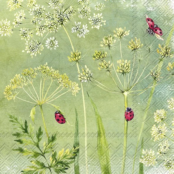 kueche-und-tisch-179121